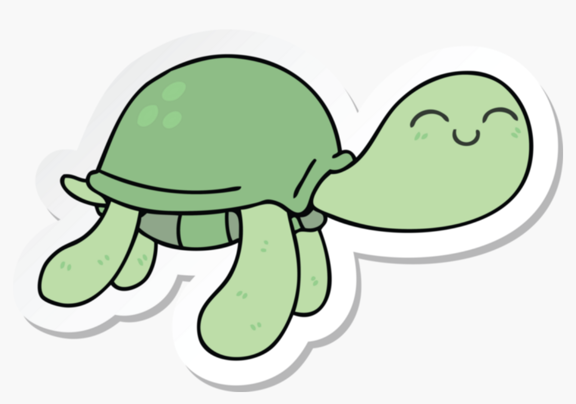 Cute turtle