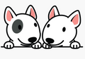 Cute Dog Couple