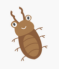Cute Beetel