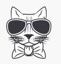 Mr. Cat