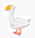 Mr. Duck