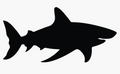 Shark
