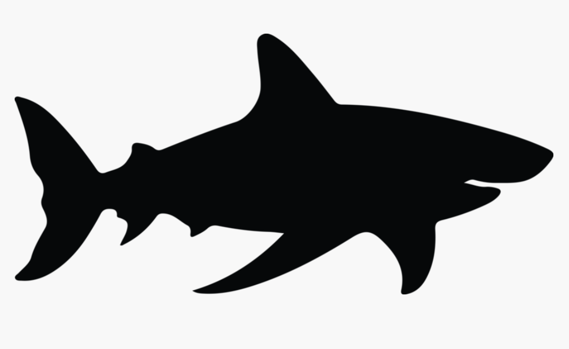 Shark