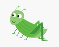 Grasshopper